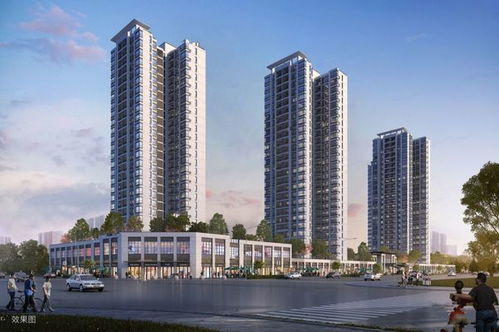 载誉归来，衡阳名壹房地产开发再度布局新项目——发展看未来